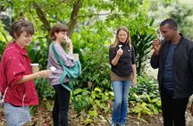 Durban: Visit a Museum of living Plants and a Sanctuary for Primates