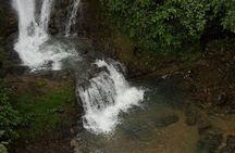 Campesinos Waterfalls and Hanging Bridges from Manuel Antonio