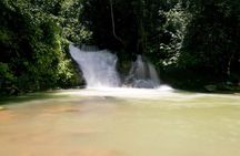 Campesinos Waterfalls and Hanging Bridges from Manuel Antonio