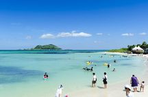 Full Day Essential Jeju Island Private tour for West Course