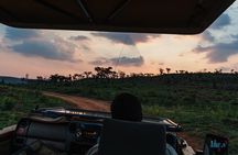 Durban: Big 5 Luxury Safari at an Award Winning Game Reserve — Zeiss Binoculars