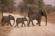 Durban: Big 5 Luxury Safari at an Award Winning Game Reserve — Zeiss Binoculars