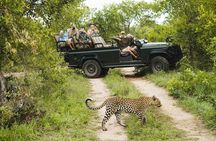 Durban: Big 5 Luxury Safari at an Award Winning Game Reserve — Zeiss Binoculars