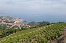 Walks in the heart of the secret vineyards around Collioure, tastings