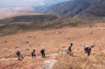 Durban: Giants Castle Rock Art, The Midlands & Mandela Capture Site