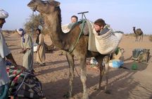 M’Hamid: Overnight in luxury desert camp with Camel Ride, meals & sandboarding