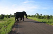 3 Day Kruger National Park Big 5 Safari