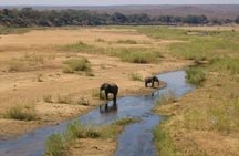 3 Day Kruger National Park Big 5 Safari