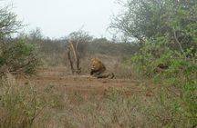 3 Day Kruger National Park Big 5 Safari