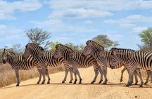 4-Day Kruger National Park & Panorama Route Tented Safari