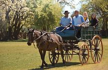 Private Day Tour to an Argentinian Estancia