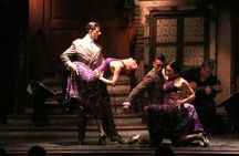 El Aljibe Tango Show with Private Transfers and Optional Dinner