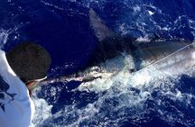 Big Game Fishing Mauritius Black River