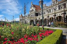 Iconic Shore Excursion: Dunedin City Highlights Tour