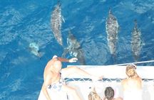 Sailing Catamaran Cruises