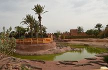  Agadir Quad Bike Safari & Goats In Argan Tree + Crocoparc ticket
