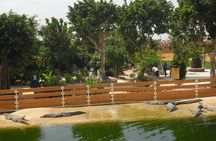  Agadir Quad Bike Safari & Goats In Argan Tree + Crocoparc ticket