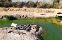  Agadir Quad Bike Safari & Goats In Argan Tree + Crocoparc ticket