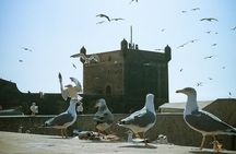 Shared-Small Group Day Trip to Essaouira from Marrakech