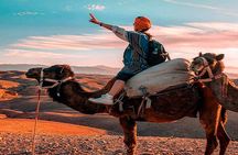 Sunset Camel Ride In Desert From Marrakech 