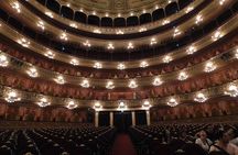 Premium City Tour with visit to Teatro Colon in Buenos Aires