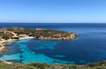 ASINARA ISLAND-TOUR full day Minivan in the National Park