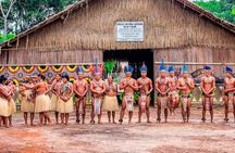 Amazon Experience: meet a native village and swim with porpoises