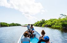 Pink Lake Tour from Las Coloradas with lunch and boat ride