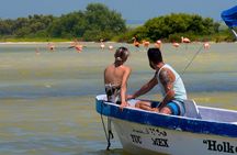 Tour to Las Coloradas Pink Waters and Boat Ride in Rio Lagartos with Lunch.
