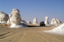 Overnight Camping At White Desert And Bahariya Oasis