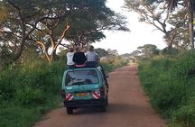 Murchison Falls Day Safari (Game Drive & Falls)