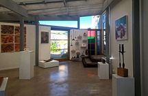 Waiheke Island Private Art Tour