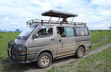 Guided Safari to Murchison Falls from Masindi