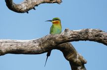 Bundala National Park Safari (PRIVATE TOURS)- Morning & Afternoon