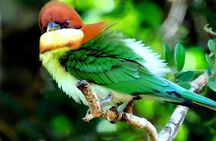 Bundala National Park Safari (PRIVATE TOURS)- Morning & Afternoon