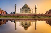7 Day Golden Triangle Tour with Wildlife-Taj Mahal Tigers & Birds