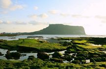 Full Day Customizable Jeju Private Tour with licensed tour guide