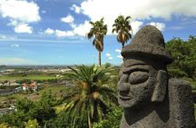 Full Day Essential Jeju Island Private tour for West Course