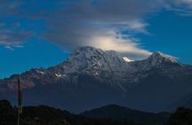 Mardi Trek