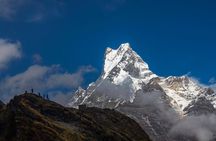 Mardi Trek