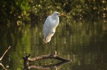 Full-Day Chorao Island Nature, Heritage & Cooking Experience