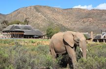 Cape Town 2-Days Overnight Aquilla Safari game Reserve 
