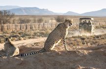 Cape Town 2-Days Overnight Aquilla Safari game Reserve 