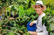 Coffee Tour in the Beautiful Jardin Town: Adventure in the Andes