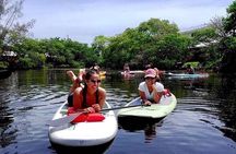 Island City ECO Paddle and Lesson to 9.3 Acre Nature Preserve 