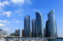 Cruise Layover : Small Group Busan Highlight Day Tour 