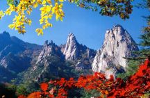 Private Mt.Seorak national park Tour and Sokcho