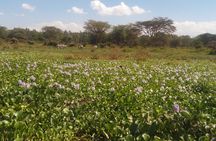 Lake Naivasha Private Day Tour with Boat Ride from Nairobi