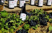 Private tour to Hin Areni winery, Tatev monastery & ropeway, Khndzoresk caves