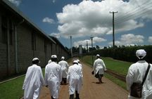 Coffee Farm Half-Day Tour in Kenya